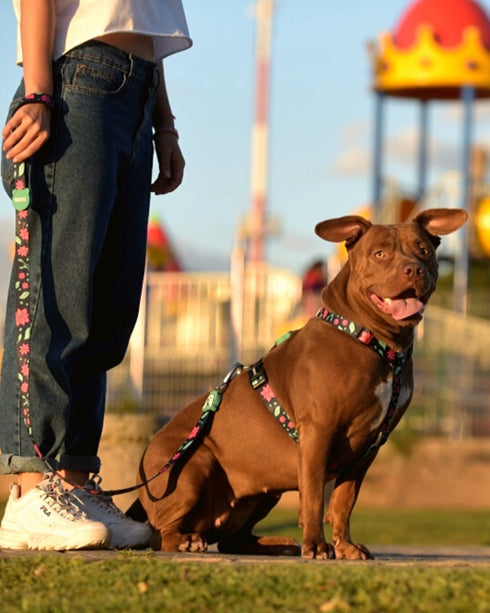 Pretal Doble Agarre Floral + Guía PDF "La Magia del Paseo Diario" de REGALO